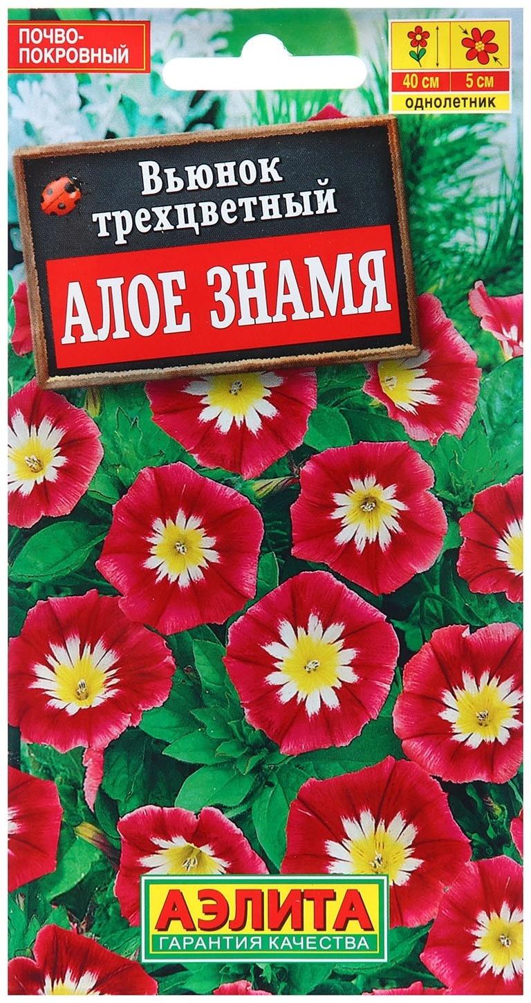 Семена Вьюнок Алое знамя   Одн Ц/П 1г
