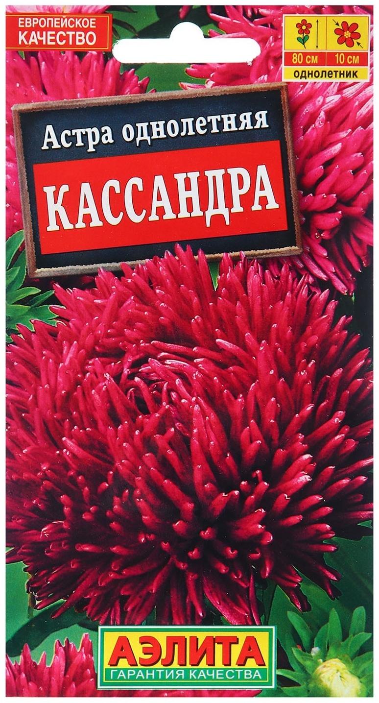 Семена Астра Кассандра  Ор. А Одн Ц/П 0,2г