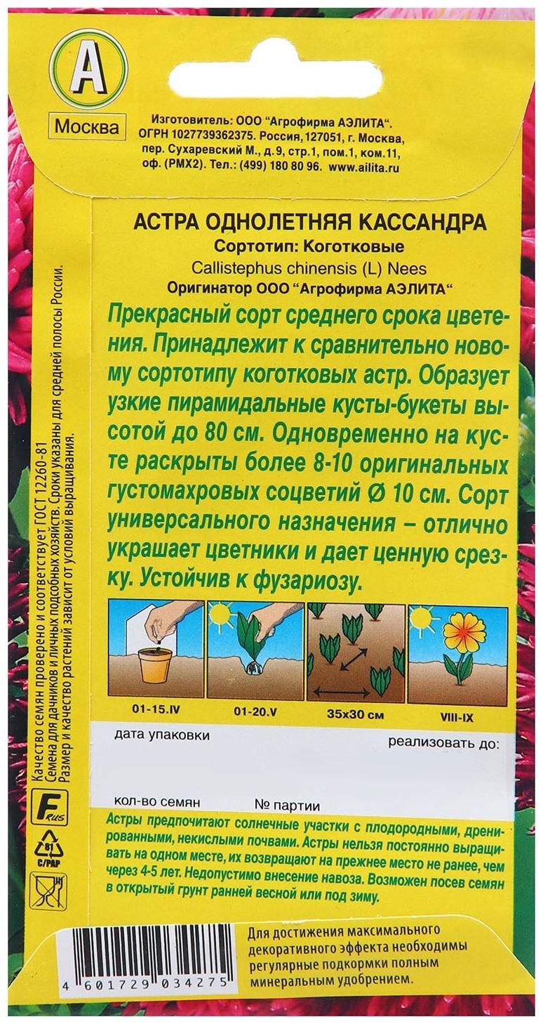 Семена Астра Кассандра  Ор. А Одн Ц/П 0,2г