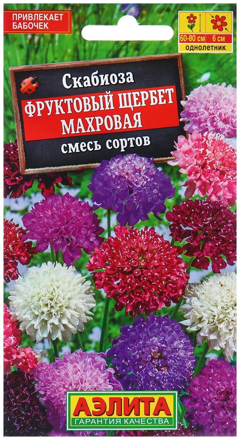 Семена Скабиоза Фруктовый щербет махровая, смесь сортов   Одн Ц/П 0,1г