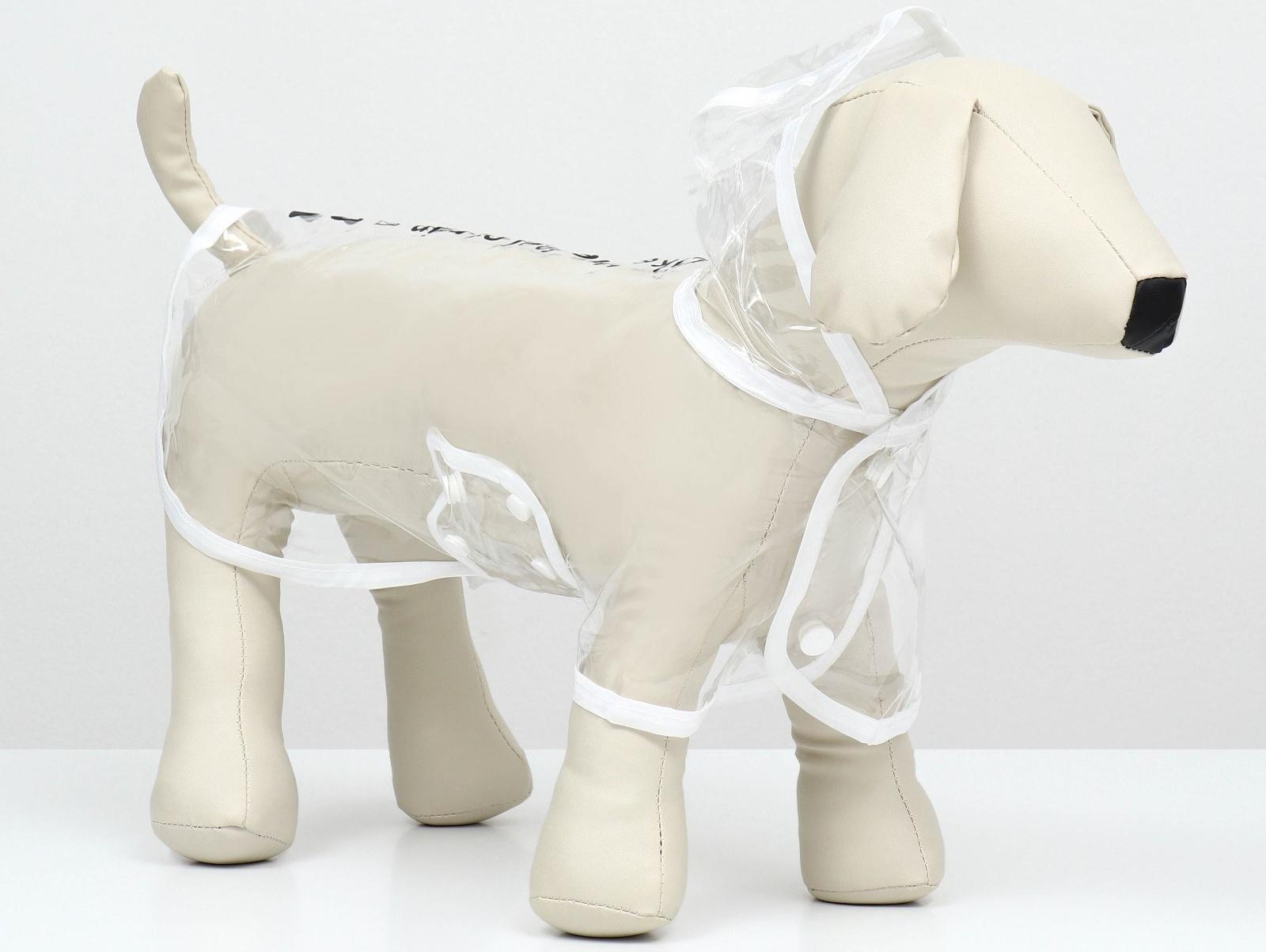 Дождевик для собак, размер XS (ДС 18, ОГ 25-30, ОШ 25 см), белый