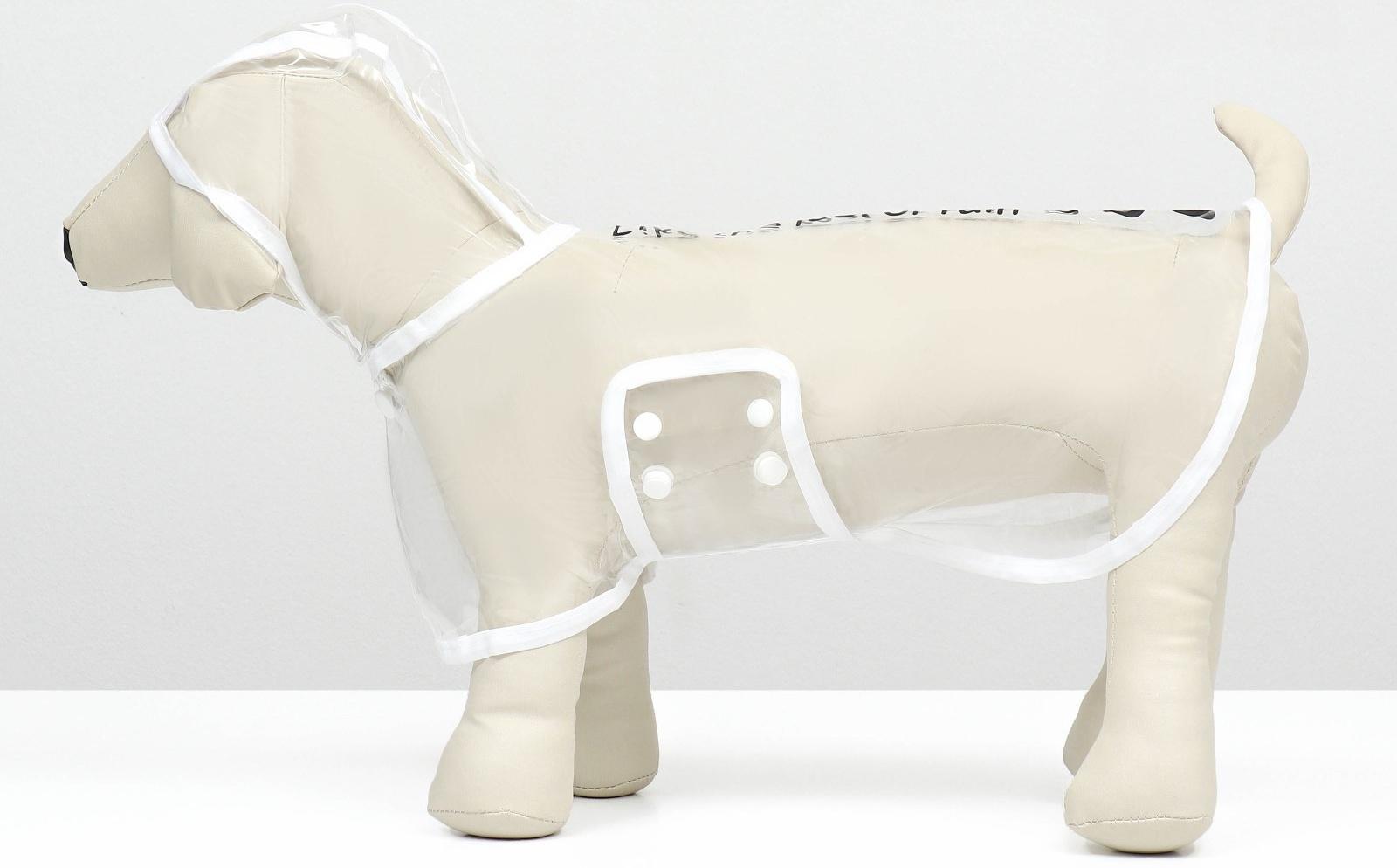 Дождевик для собак, размер XS (ДС 18, ОГ 25-30, ОШ 25 см), белый