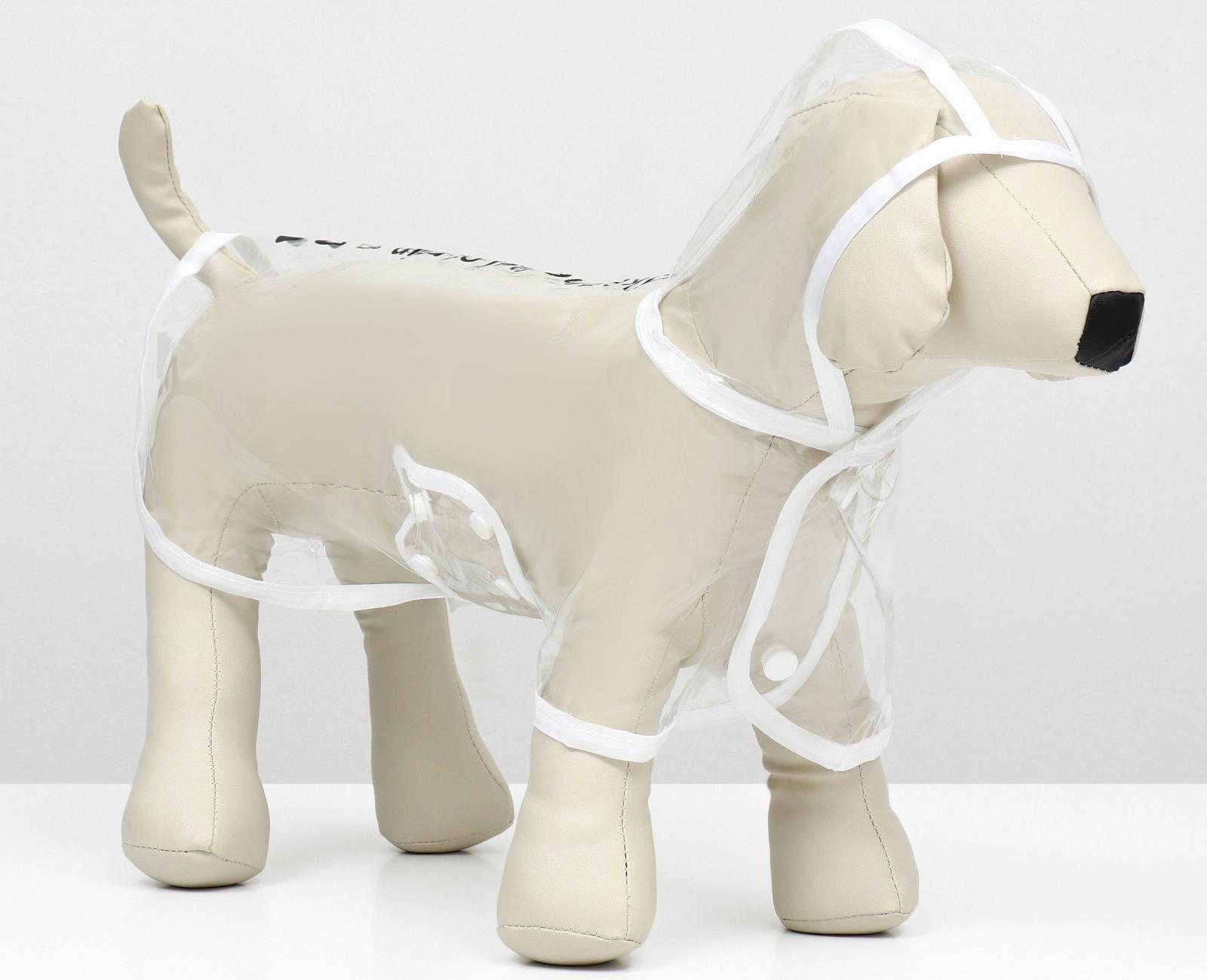 Дождевик для собак, размер XS (ДС 18, ОГ 25-30, ОШ 25 см), белый