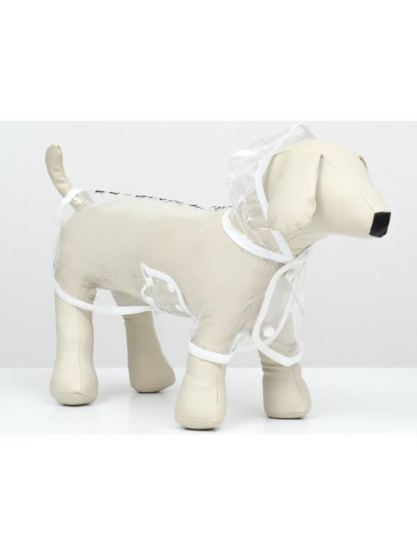 Дождевик для собак, размер XS (ДС 18, ОГ 25-30, ОШ 25 см), белый