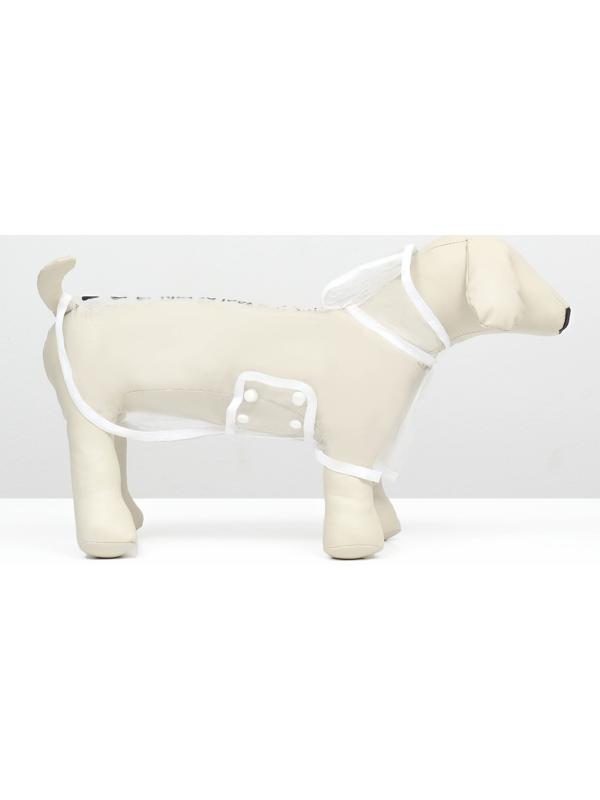 Дождевик для собак, размер XS (ДС 18, ОГ 25-30, ОШ 25 см), белый