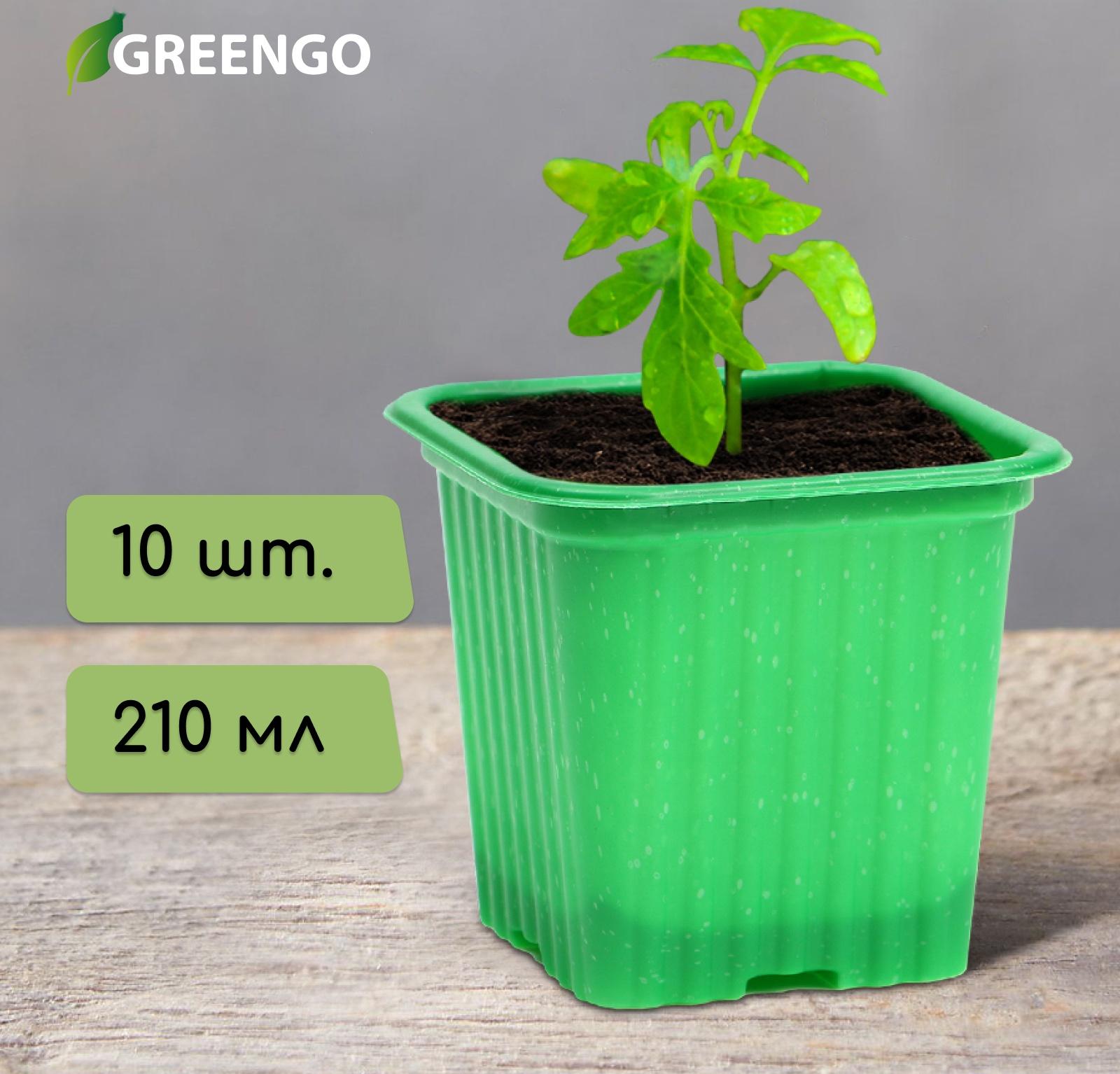 Горшок для рассады, 210 мл, d = 7 см, h = 6.5 см, зелёный, в наборе 10 шт., Greengo