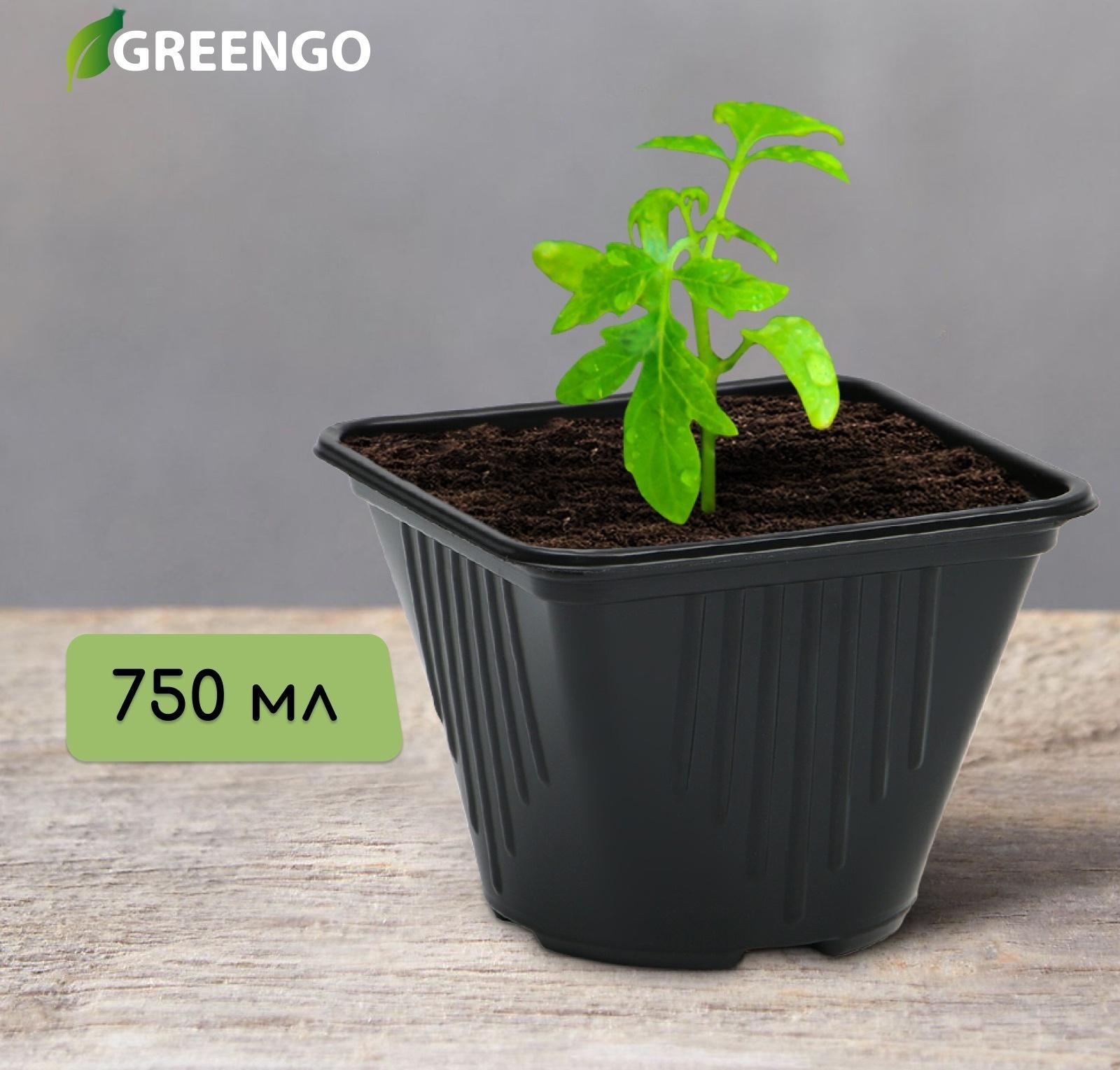 Горшок для рассады, 750 мл, d = 12 см, h = 12,9 см, чёрный, Greengo