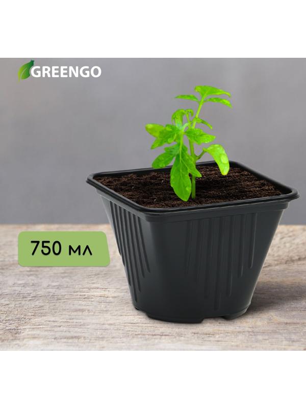 Горшок для рассады, 750 мл, d = 12 см, h = 12,9 см, чёрный, Greengo