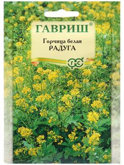 Семена Горчица 