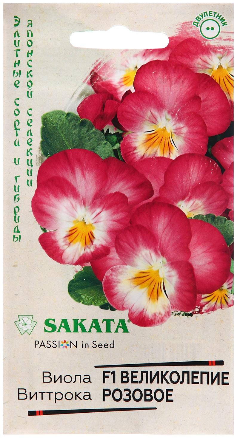 Семена Виола 