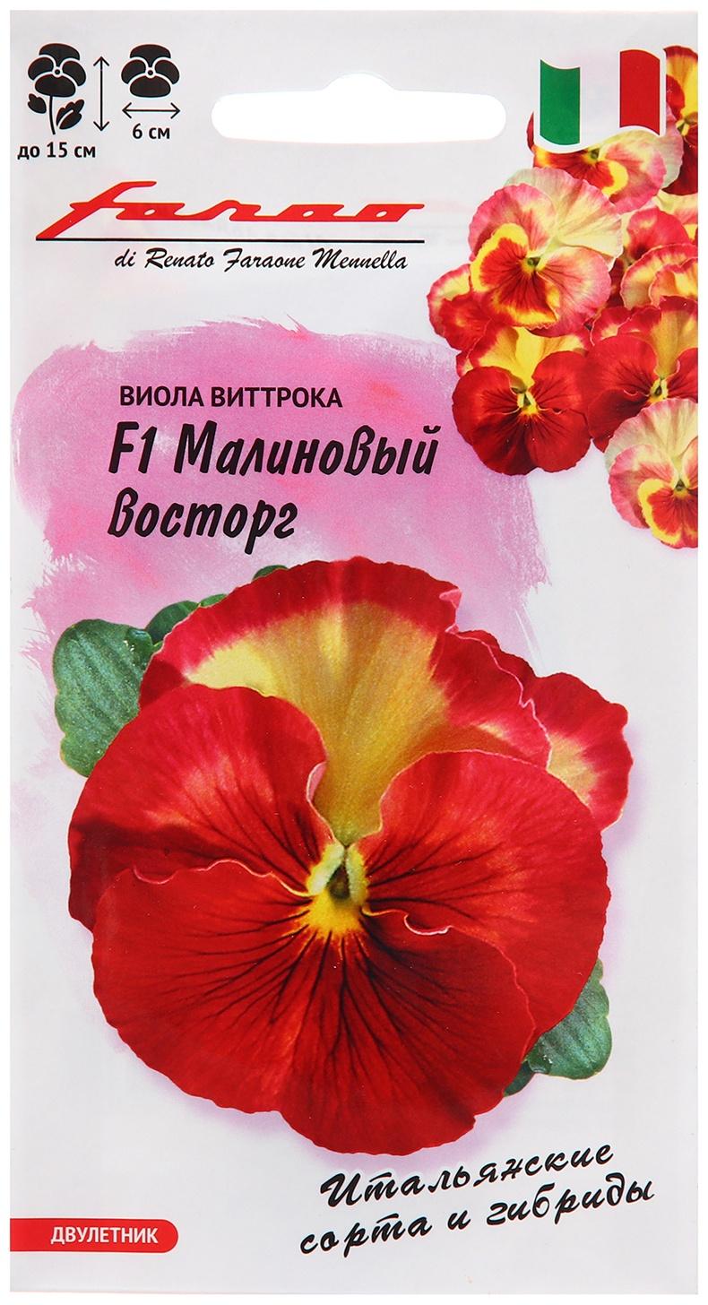 Семена Виола 