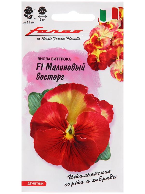 Семена Виола 