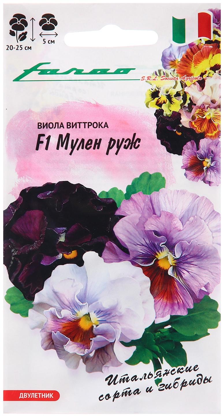 Семена Виола 