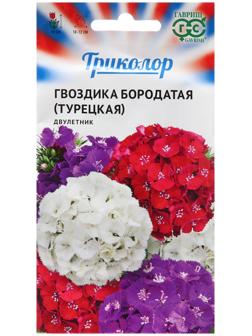 Семена Гвоздика 