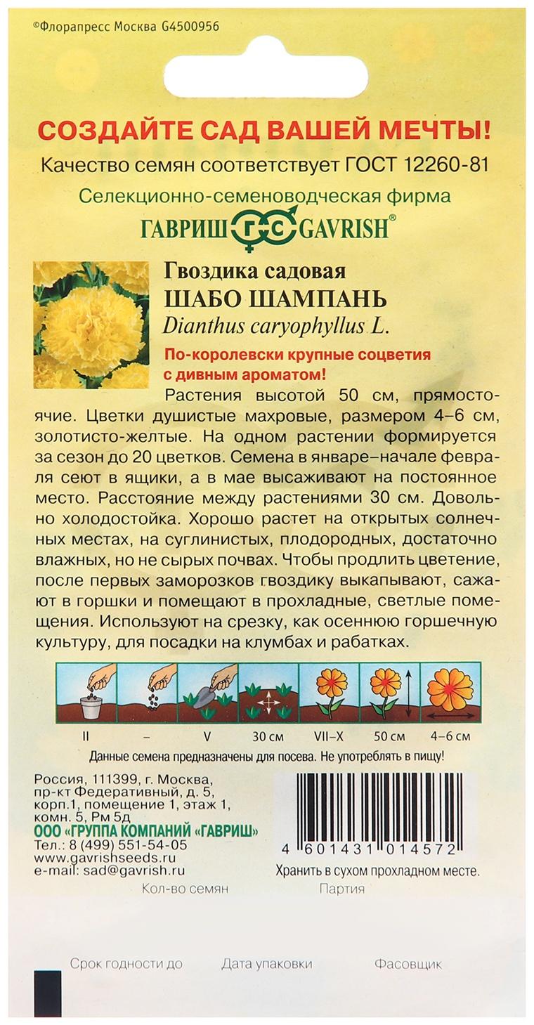 Семена Гвоздика садовая 