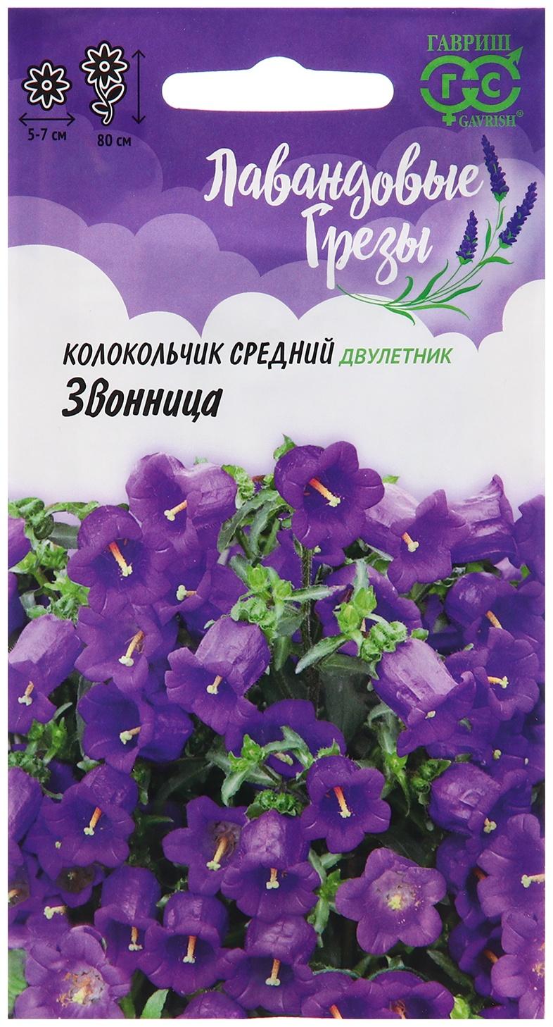 Семена Колокольчик 