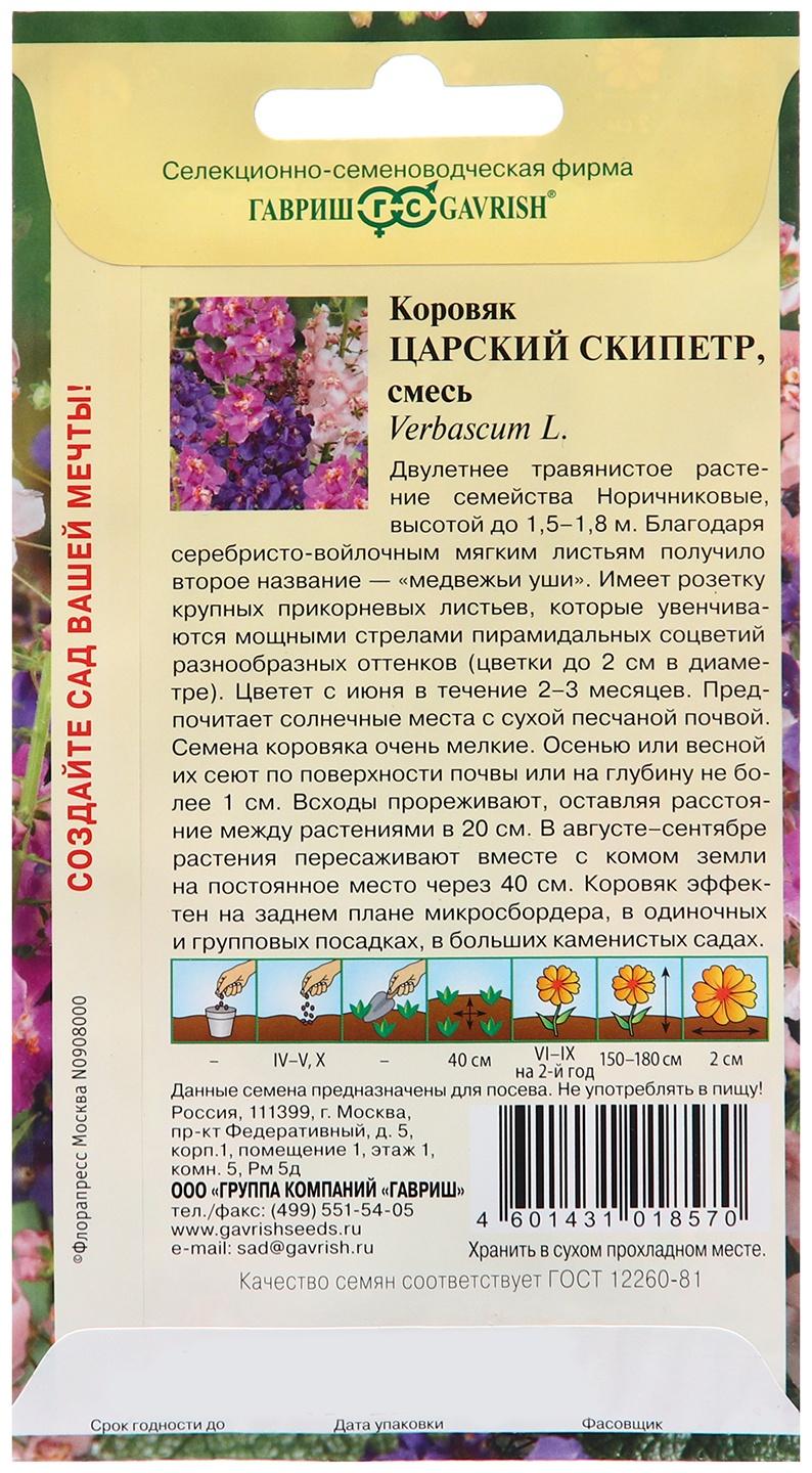 Семена Коровяк 