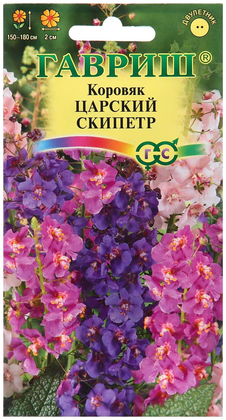 Семена Коровяк 