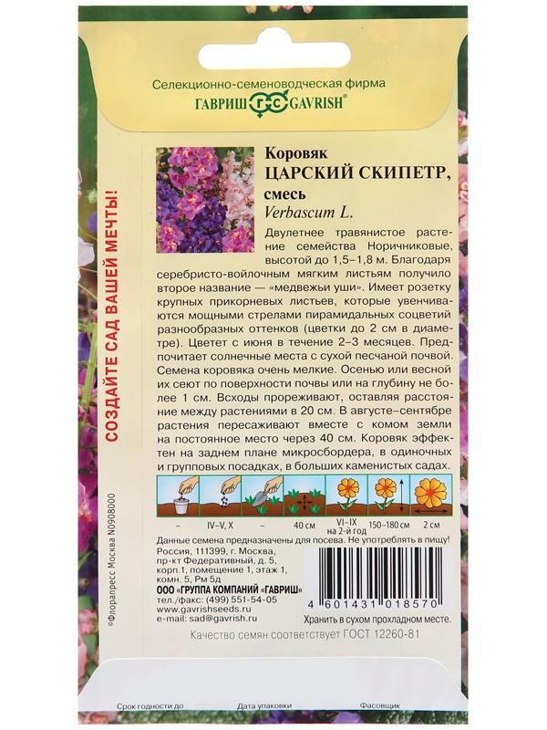 Семена Коровяк 