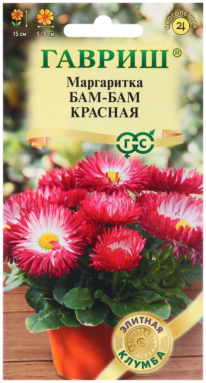 Семена Маргаритка 