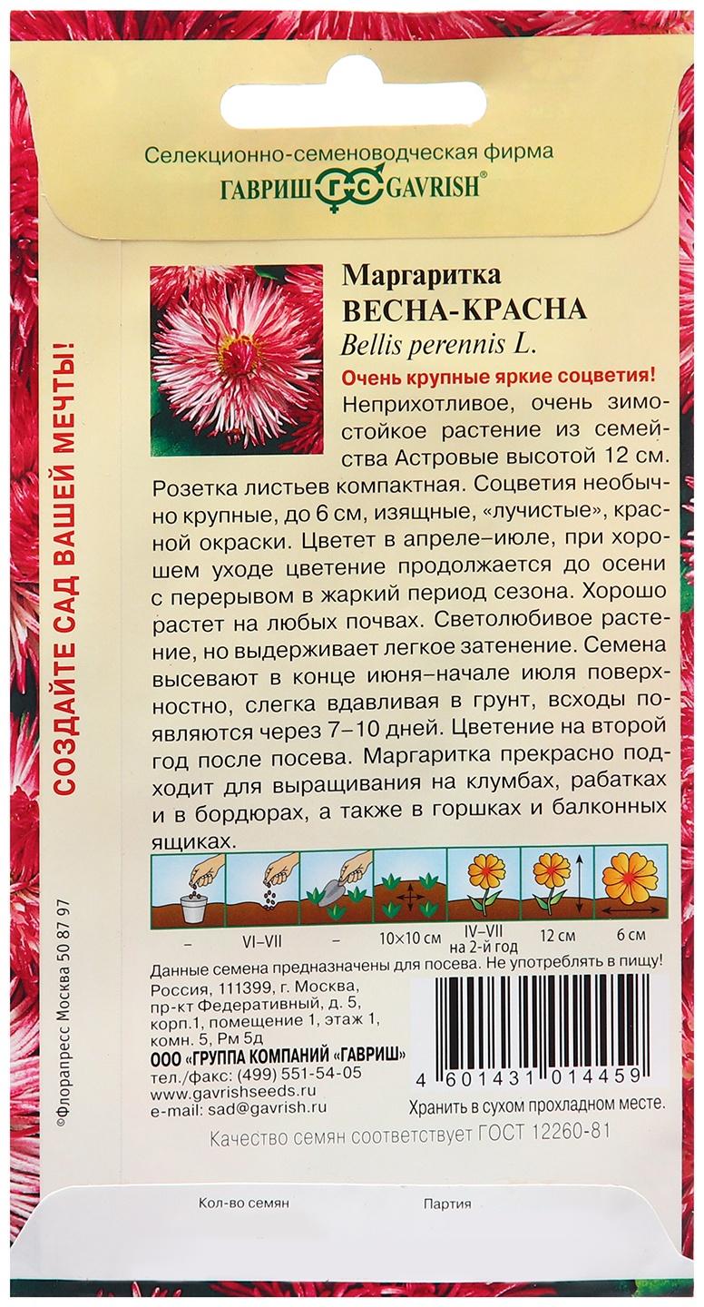 Семена Маргаритка 