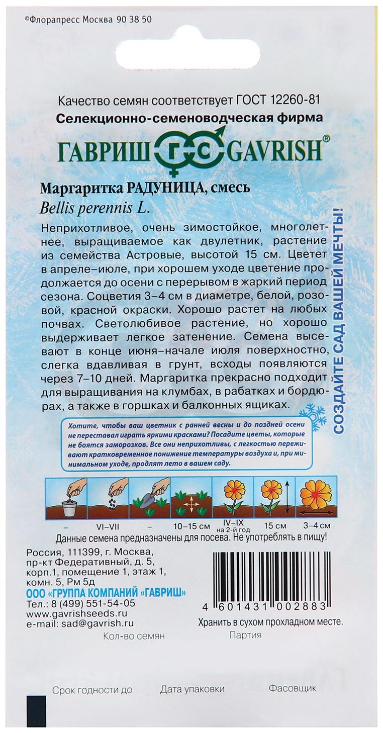 Семена Маргаритка 