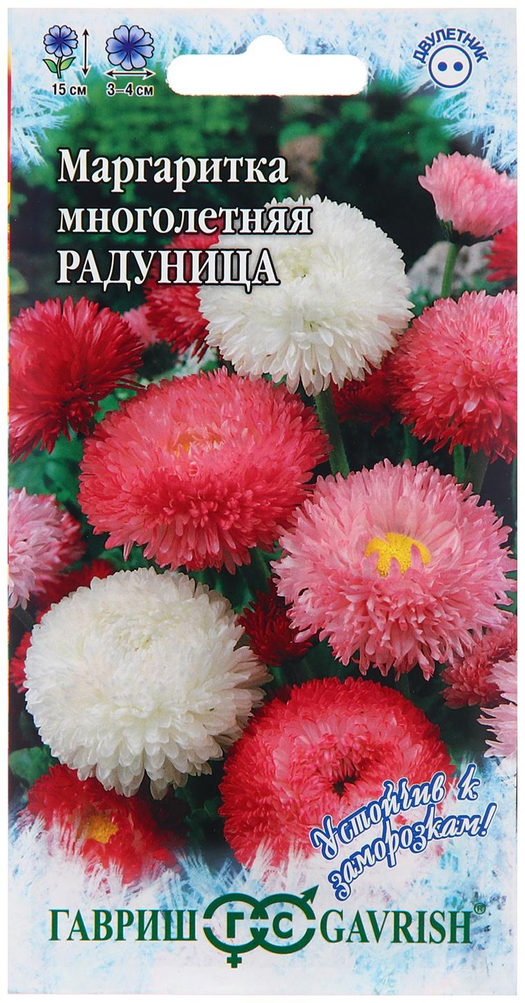 Семена Маргаритка 