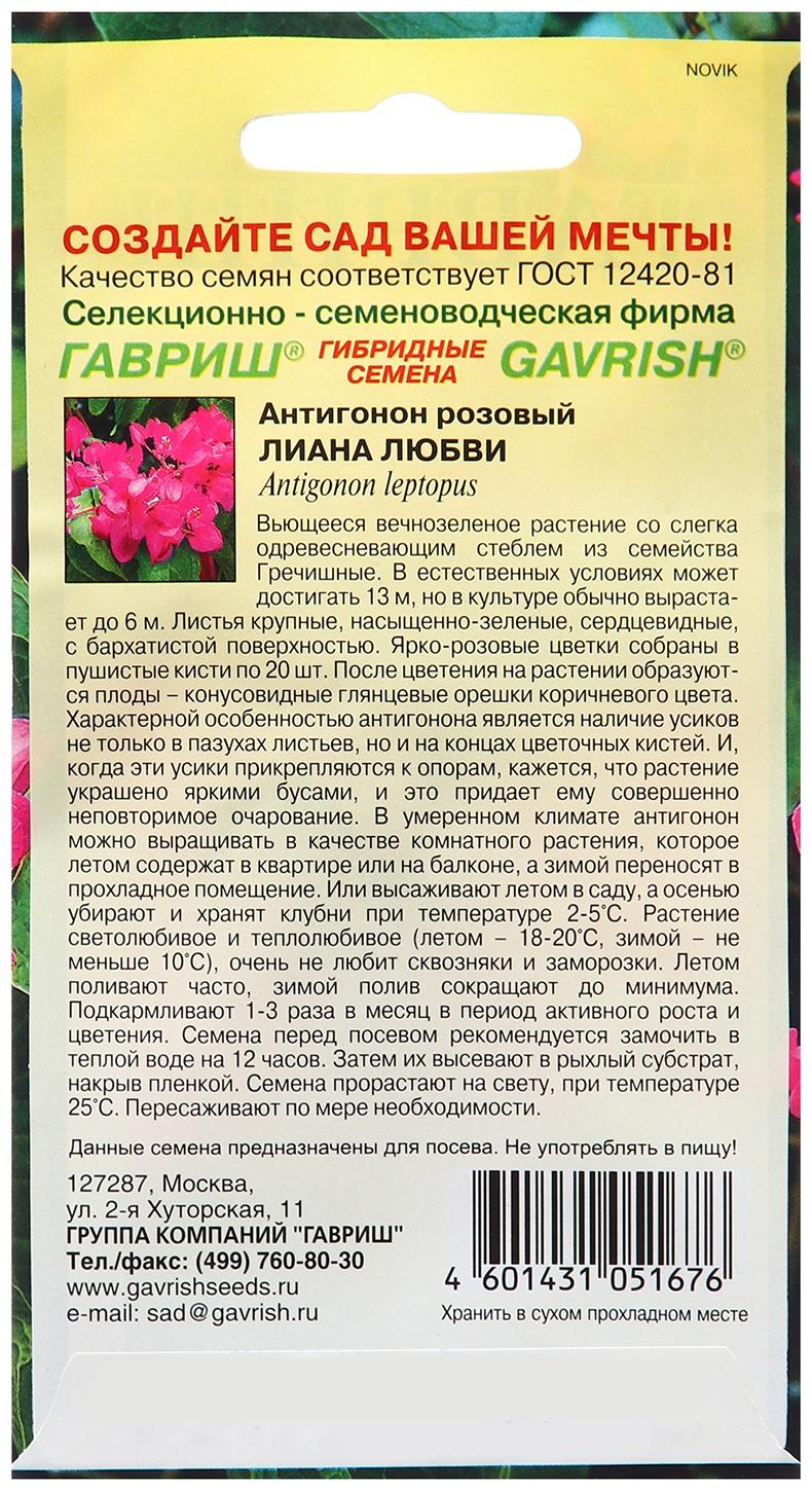 Семена Антигонон 