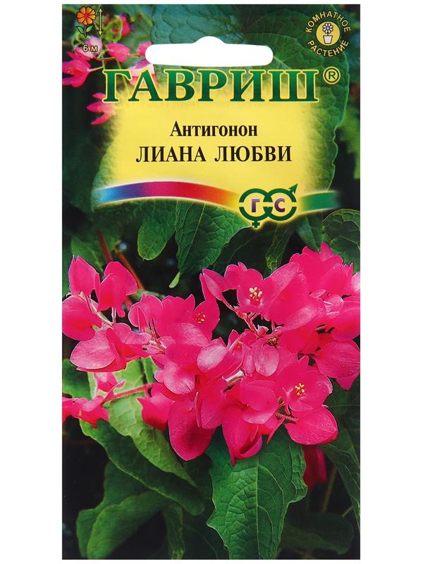 Семена Антигонон 