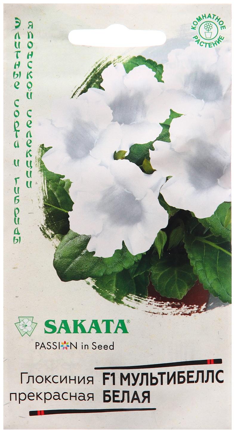 Семена Глоксиния 