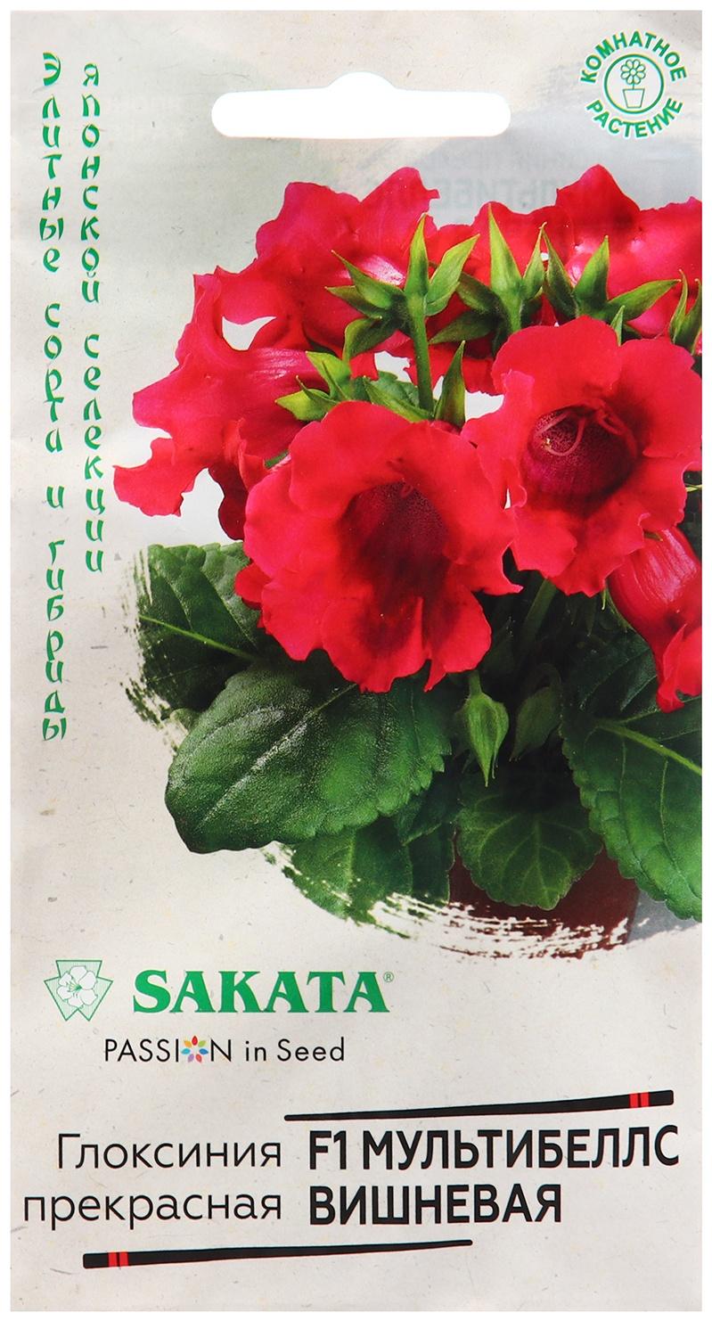 Семена Глоксиния 