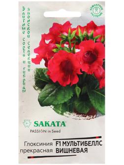 Семена Глоксиния 