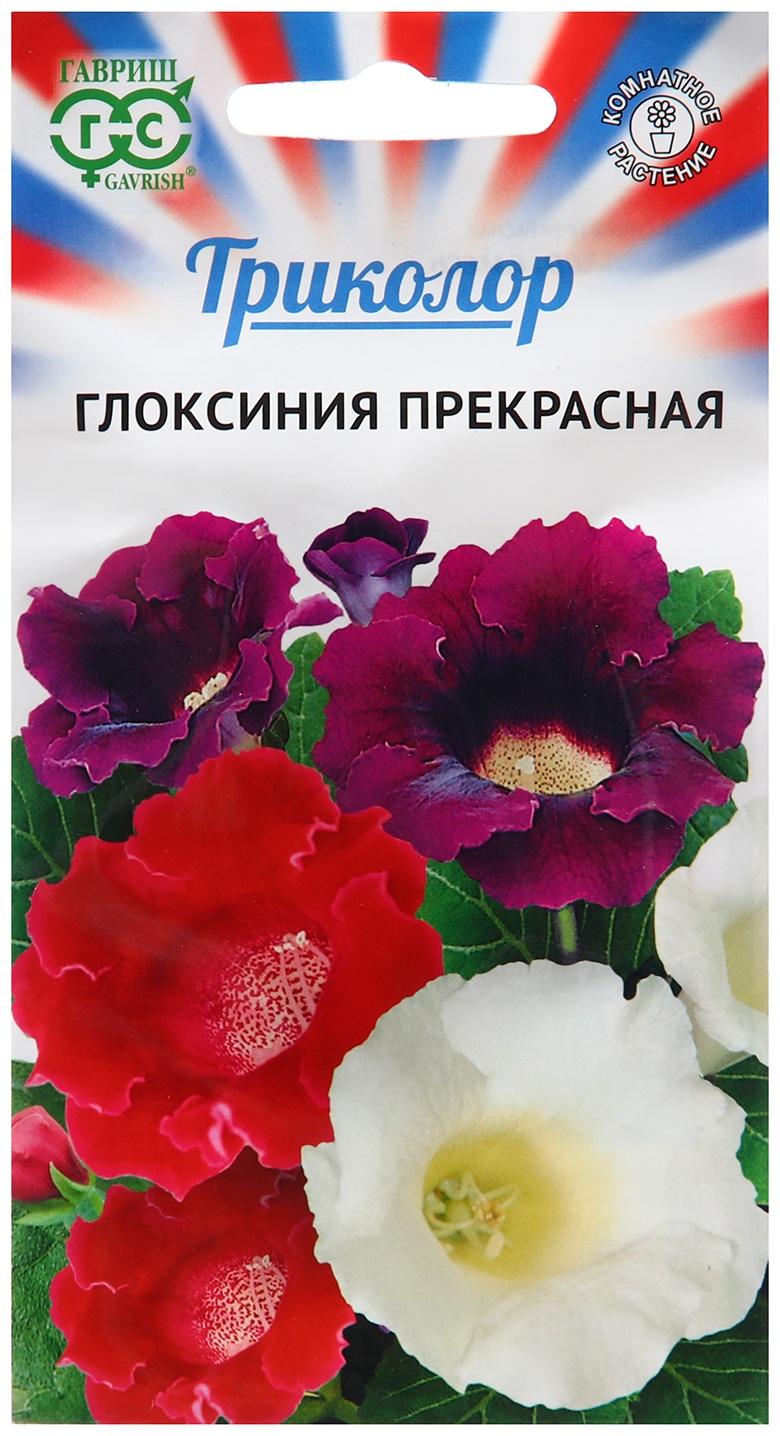 Семена Глоксиния 
