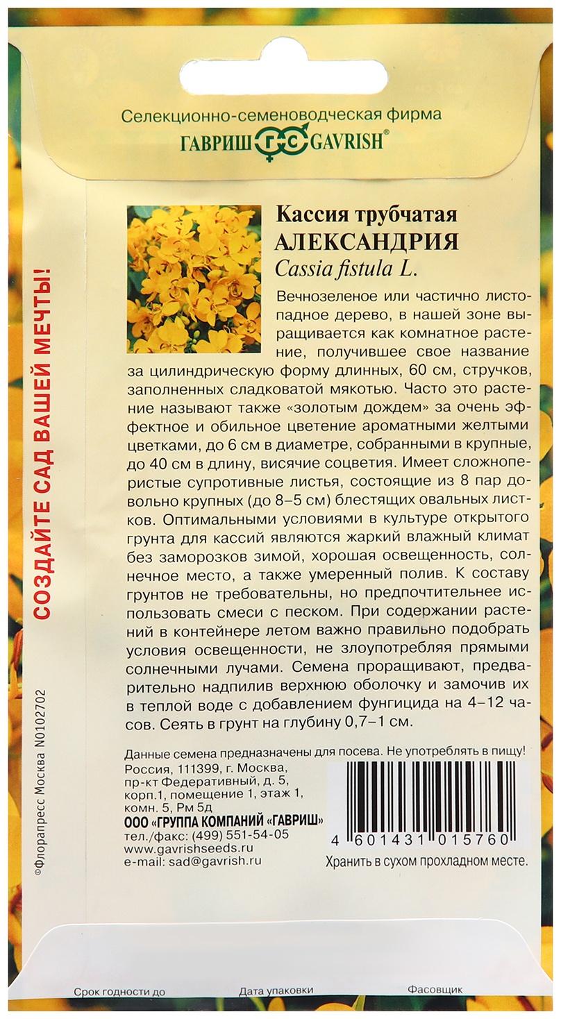 Семена Кассия Александрия, трубчатая 3 шт.