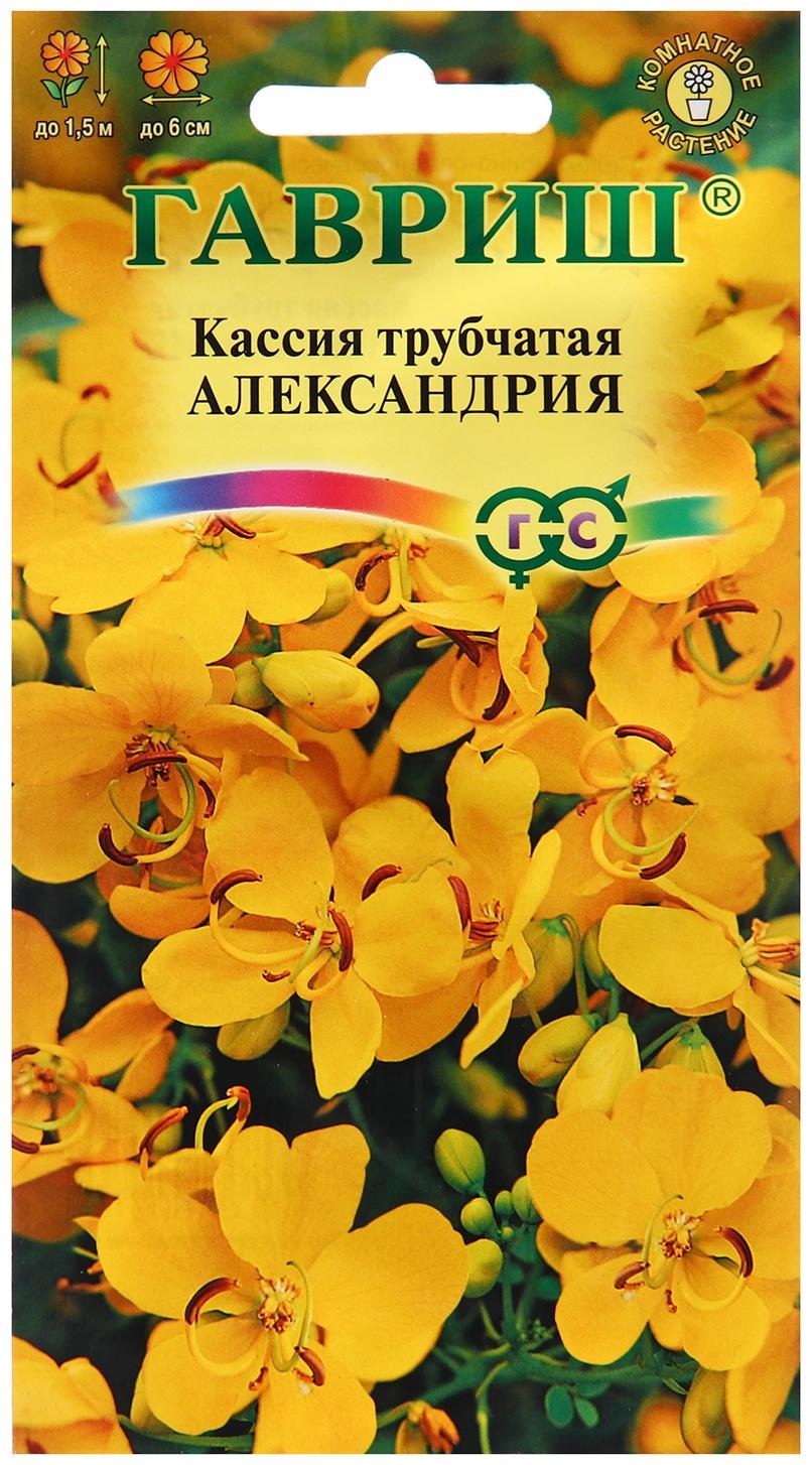 Семена Кассия Александрия, трубчатая 3 шт.