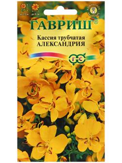Семена Кассия Александрия, трубчатая 3 шт.