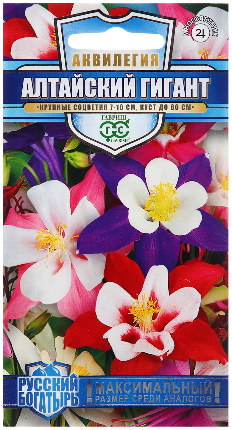 Семена Аквилегия 