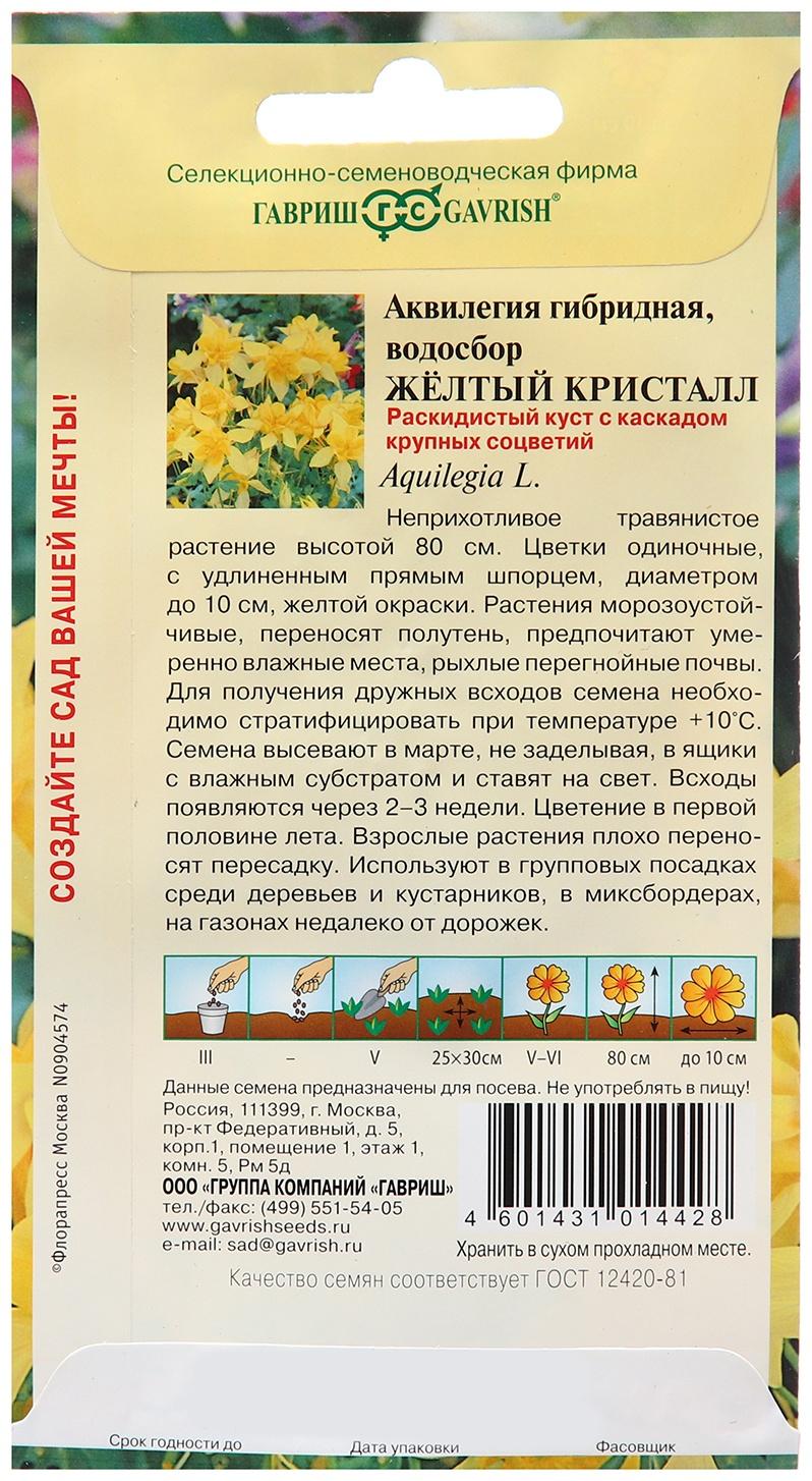 Семена Аквилегия 