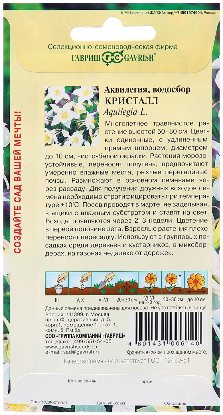 Семена Аквилегия 