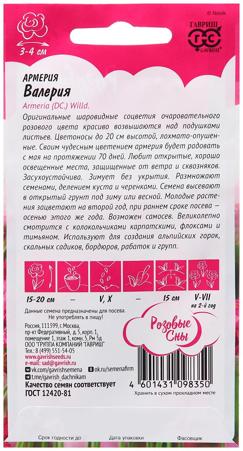 Семена Армерия 