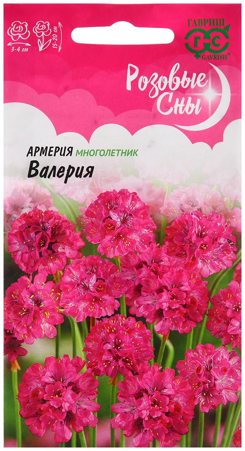 Семена Армерия 