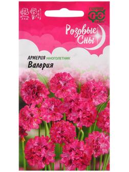 Семена Армерия 