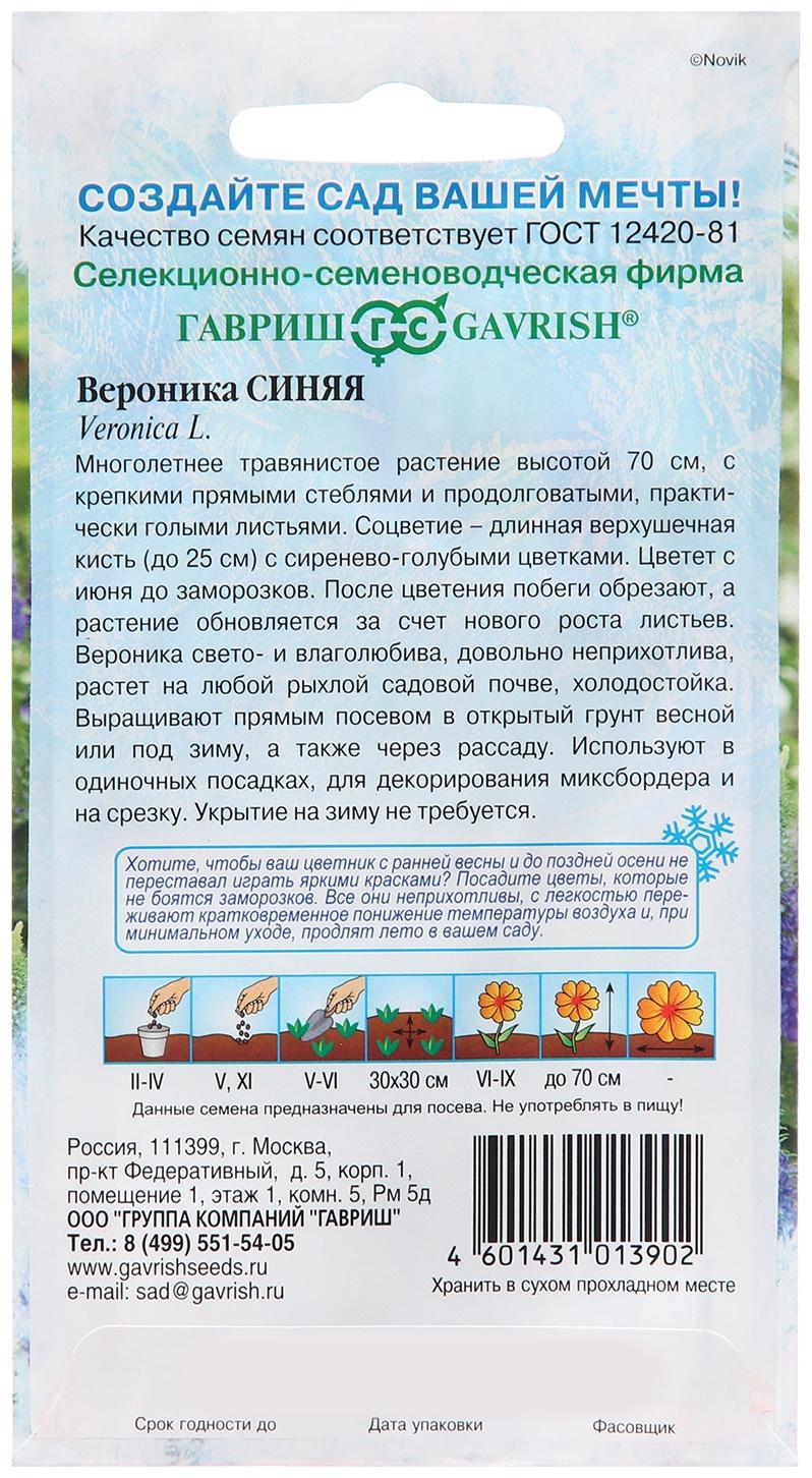 Семена Вероника 