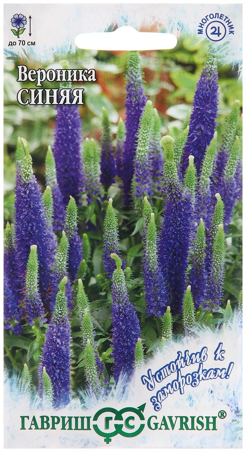 Семена Вероника 