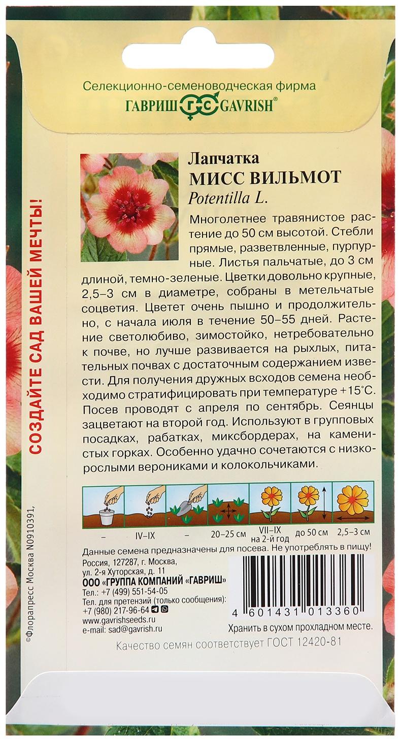 Семена Лапчатка 