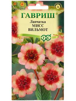 Семена Лапчатка 