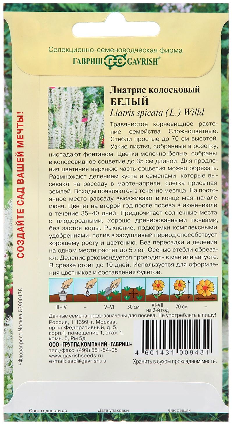 Семена Лиатрис 