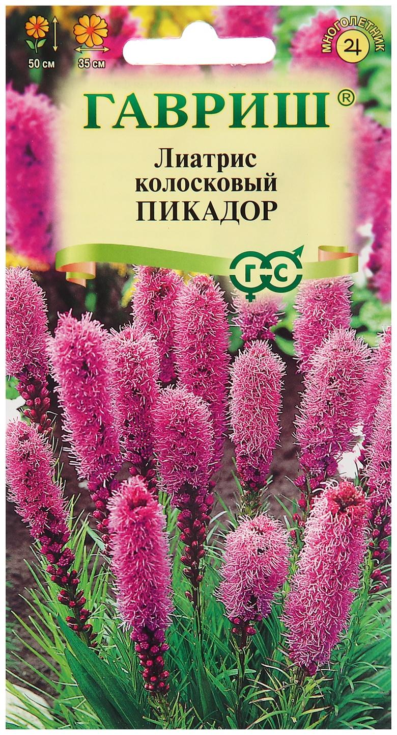 Семена Лиатрис 