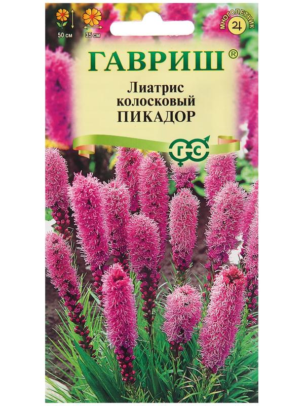 Семена Лиатрис 