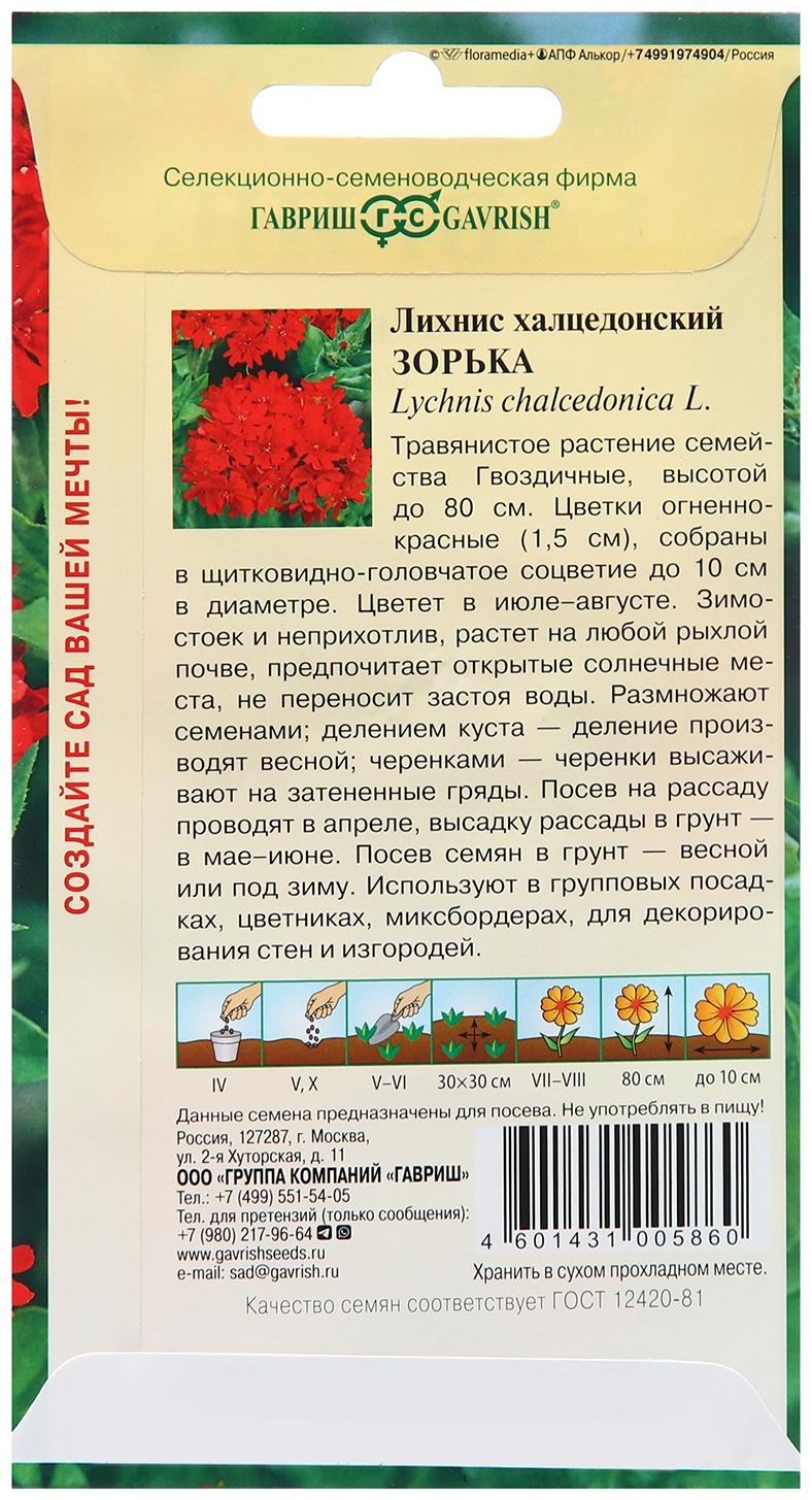 Семена Лихнис 